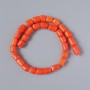 Mărgele din coral portocaliu natural, fațetate, diametrul aproximativ 12×9 mm, lungime 40 cm, pe fir