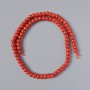 Mărgele din coral natural, formă rondel netedă, diametrul 7x5 mm, lungime 41 cm, pe fir
