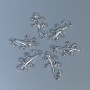 Pandantiv - furnituri pentru bijuterii «Șopârlă», culoare argintiu, dimensiuni 23×13×2 mm, gaură Ø2 mm, ambalaj 12 buc