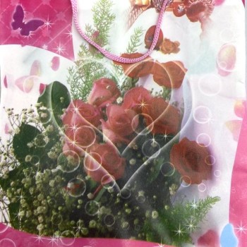 Pungă cadou 24×18 cm (material PE)