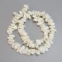 Mărgele din sidef tăiate, diametru 9–16×6–10 mm, lungime 37 cm, pe fir