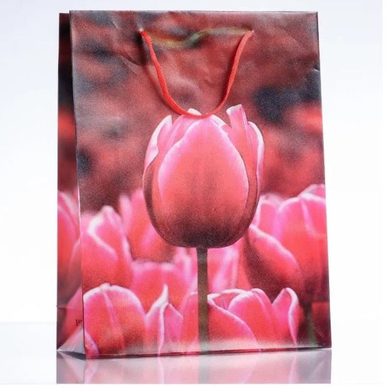 Reducere! Pungă cadou 18x24 cm (material PE)
