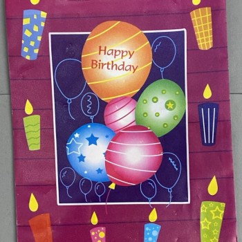 Pungă de cadou 18×24 cm PE