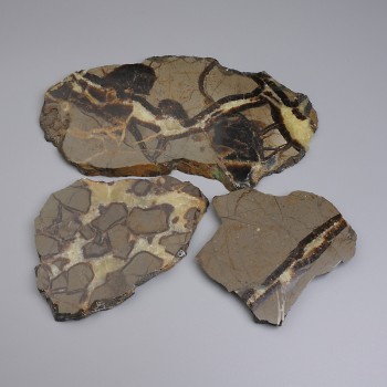 Placă decorativă din piatră naturală septariană 113x90x10 (dimensiuni asortate) (Preț pentru 100 g)