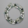 Mărgele din agat mușchi, cub facetat 7×7 mm+-, lungime aproximativă de 39 cm+
