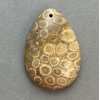 Pandantiv din coral pietrificat 35×23 mm+