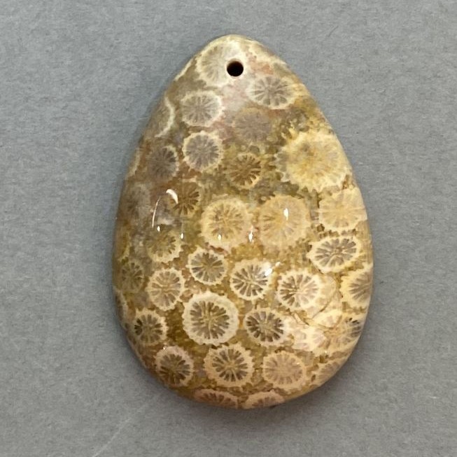 Pandantiv din coral pietrificat 35×23 mm+