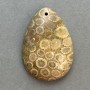 Pandantiv din coral pietrificat 35×23 mm+