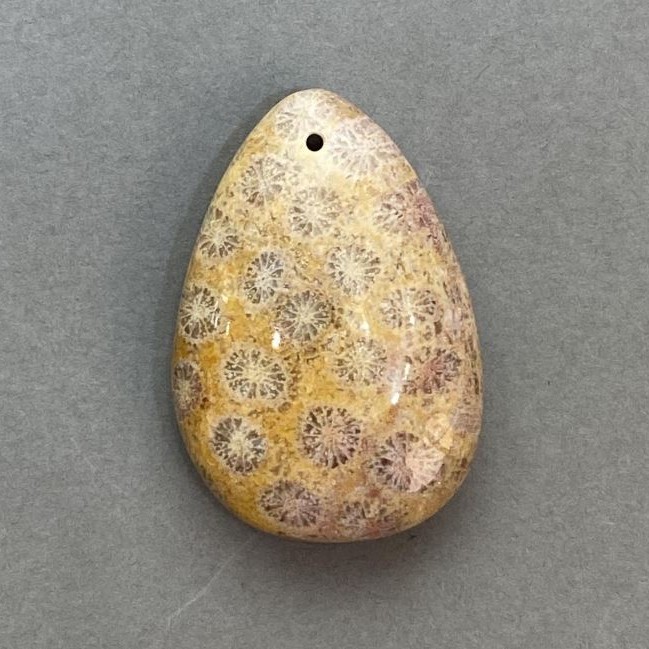 Pandantiv din coral fosilizat 39×27 mm+