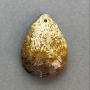 Pandantiv din coral fosil 34×25 mm+