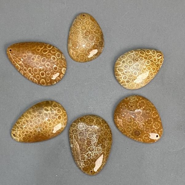 Pandantiv din coral fosilizat 45-55×35-40 mm +/- mărimi variate