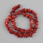 Mărgele de coral granule, diametru 7–11×3–5 mm, lungime 40 cm