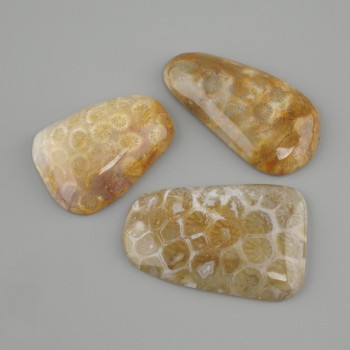 Cabochon din coral fosil, oval, 40-45×19-24 mm +- (dimensiuni asortate)