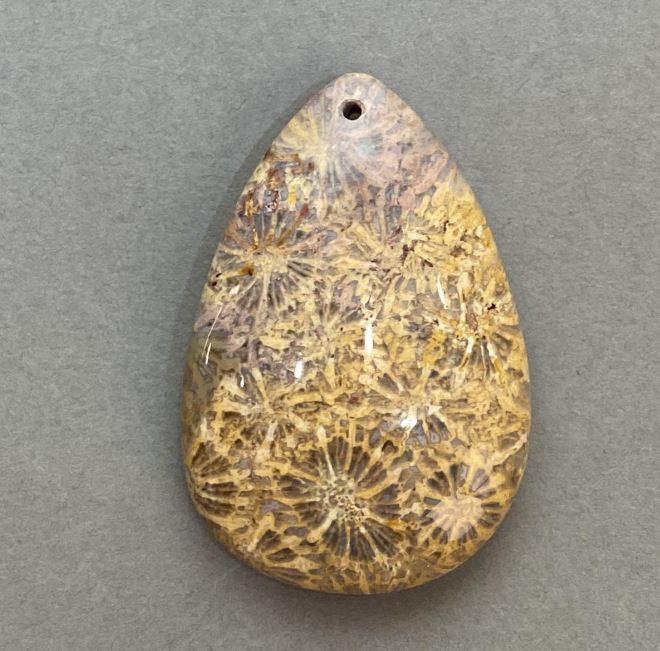 Pandantiv din coral pietrificat 48×32 mm+