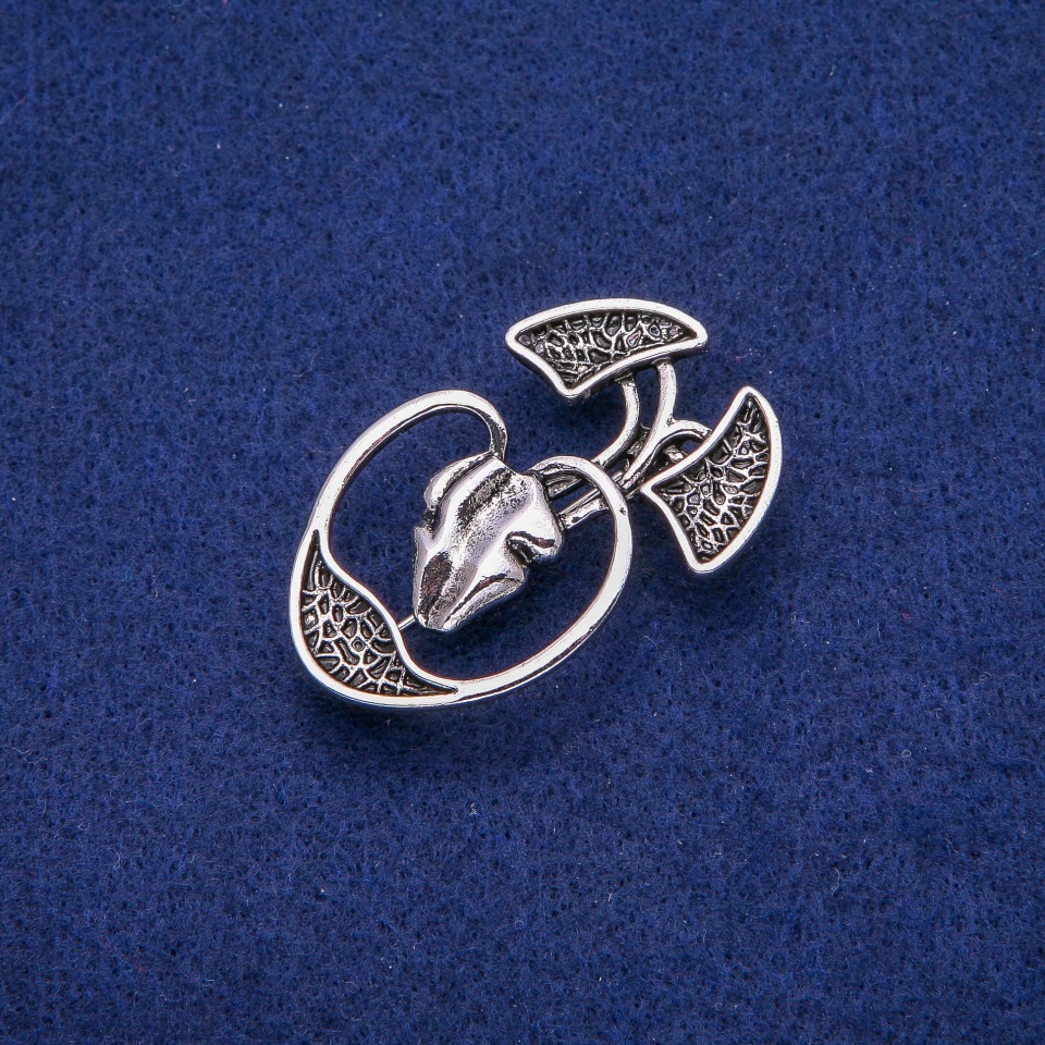 Broșă Anatomie 28×45 mm, metal argintiu